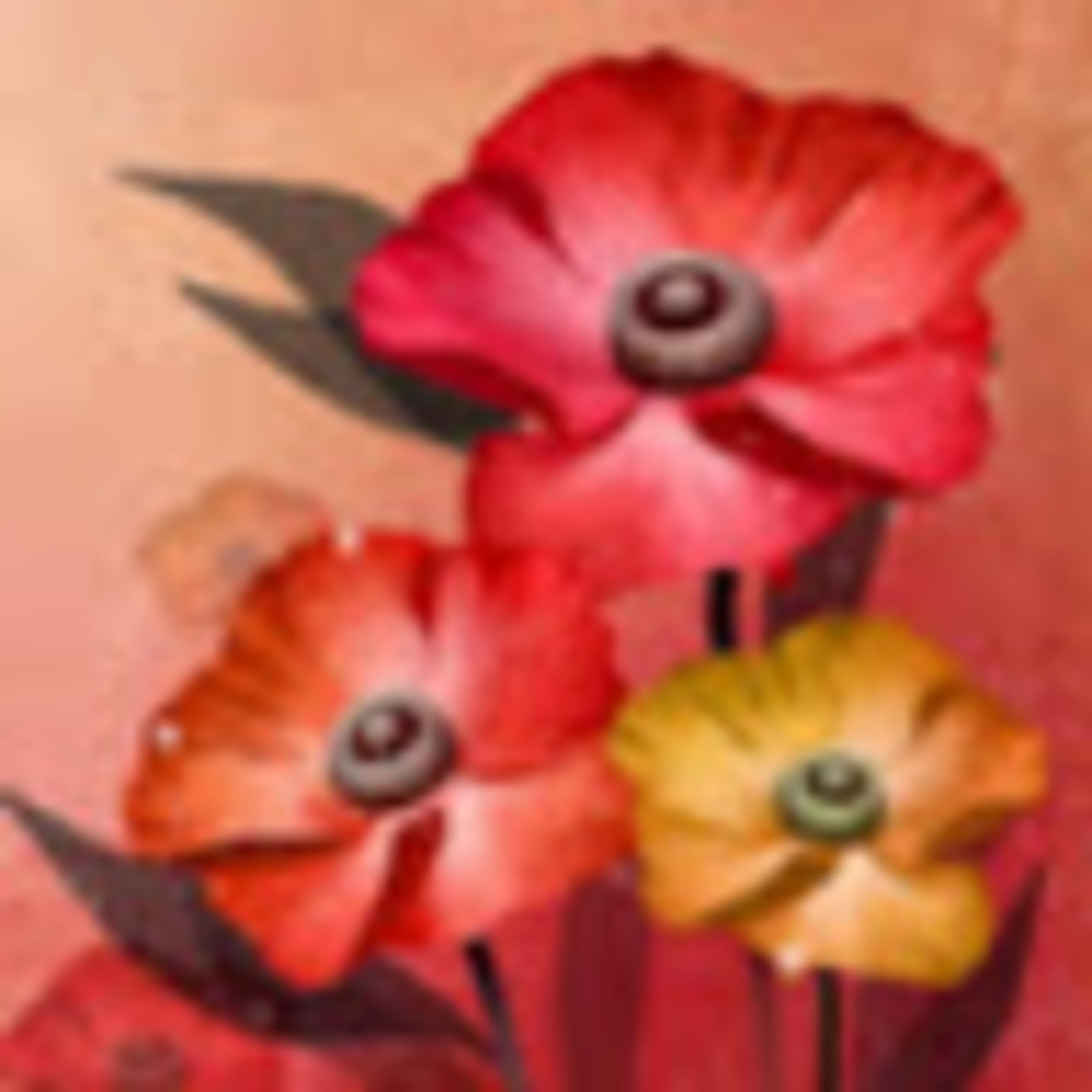 Meet your Posher, Bozena